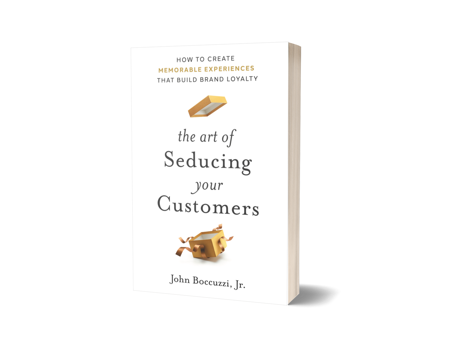 The Art of Seducing your Customers Book Cover